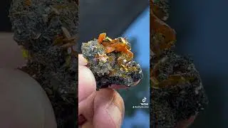 Wulfenite from Xinjiang China #crystals #mineralogy #mineralspecimen
