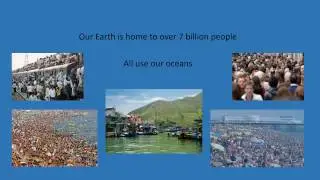 ENVS2004 Overfishing - A Countdown to Disaster