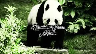 [Bass Boosted] Panda - Desiigner