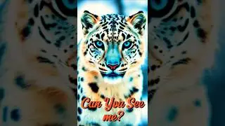 The Ghost of the Mountains 🥷| 5 Fun facts about Snow Leopards #shorts #trending #viralvideo