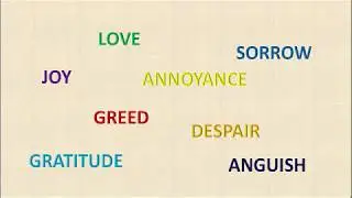 The Difference Between Heart and Mind