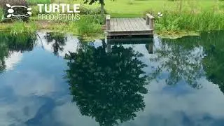 NGS Wildlife Pond - Warwickshire - Turtle Productions