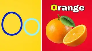 O for Orange 🍊 | O Letter Vocabulary Words for Kids | ABC Learning | #BEEQANKIDS