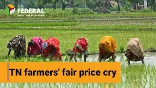 Union Budget 2024: Farmers in delta region of Tamil Nadu demand fair prices, storage facilities