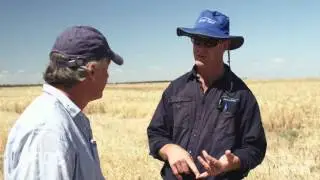 Pastures In Crop Sequencing for the high rainfall zone
