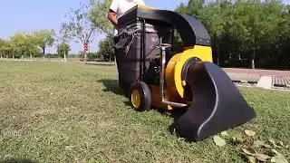 Hand push leaf collector equipment #leafcollector