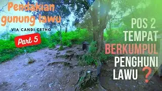 Pos 2 gunung lawu, di bawah pohon besar⁉️ Eps36