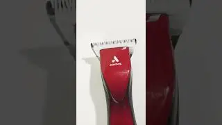 Meet Your New Favorite Grooming Tool - Andis DBLC-2 Pulse ZR II 5-Speed Cordless Clipper