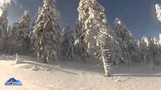 Snow motion