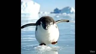 Even the penguin knows where the smart deals are-Metro discount center, Dubai