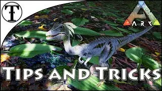 Руководство по быстрому приручению компа :: Ark: Survival Evolved Советы и рекомендации