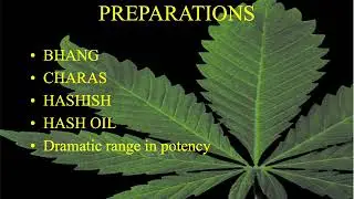 CANNABIS History 3- History of Recreational with allusions to religious use + dispute myths