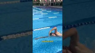 КАК ПЛАВАТЬ ВОЛЬНЫМ СТИЛЕМ БЕЗ УСИЛИЙ #плавание #тренерпоплаванию #триатлон #железныйчеловек #нау...