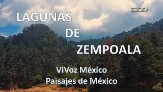 LAGUNAS DE ZEMPOALA, UN PAISAJE NATURAL | ViVoz México