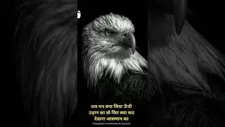 boy's attitude/motivation#motivation #attitude #status #business #whatsappstatus #businessknowledge