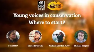 Young conservationists - where to start?