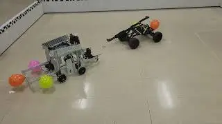 Yamilius vs Metasoma