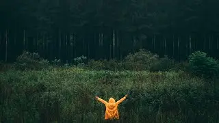 Electronic Moose