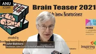 Neuroscience: What, Why, How?