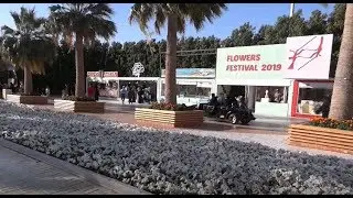Flowers Festival | Royal Commission Yanbu