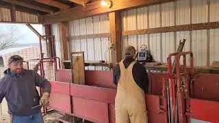 Using Reproscan Flex to Sonogram for Ewe Lambs Pregnancy