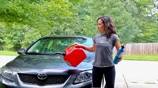 How to Get Ants, Mice and More out of a Car