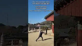 Tai Chi Single Sword (太極單劍) in Nature, Form 11 : Zhǎnch&igrave;diǎnt&oacute;u ~ Form 28 : Xi&eacute;FēiSh&igrave;
