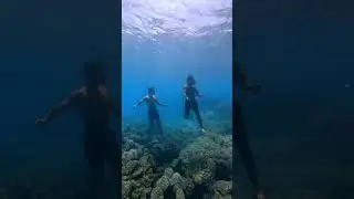 Running Underwater #Freediving #Underwater