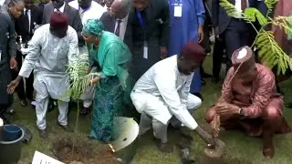 SEE THE GREAT GREEN WALL INITIATIVE AS EMERGENCY RESCUE OPERATION, VP SHETTIMA APPEAL TO NIGERIANS