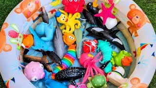 Sea Animals for Kids | Learn Ocean Animal Names with Fun Toys 🐬 for Kids