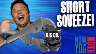 Tesla Short Squeeze! | In Depth