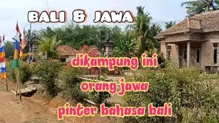 KAMPUNG UNIK!!! Dua suku yg hidup rukun berdamping ditanah transmigrasi | suku jawa & bali | LAMPUNG