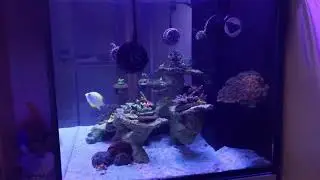 Red Sea Reefer 170