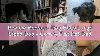 Review Bedsure Dog Beds Large Sized Dog - Comfy Flat Pet Beds with Removable Washable Cover, Orthope