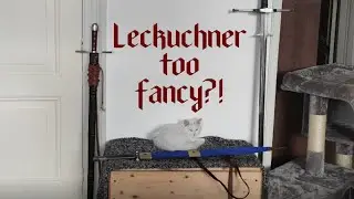 Just how fancy is Leck&uuml;chner's knife fencing?