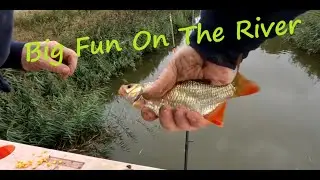 UK Sea Fishing - River Fishing - East Coast - Big Fun