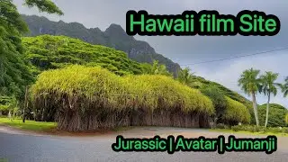 Koala Ranch, O&rsquo;ahu Hawaii &ndash; Real-Life Jurassic and Jumanji Scenes 🦖🌴
