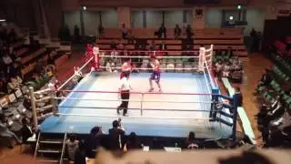 お久しぶりです。久々の投稿