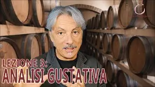 LEZ. 3/8 - CORSO DEGUST. - ANALISI GUSTATIVA DI UN VINO