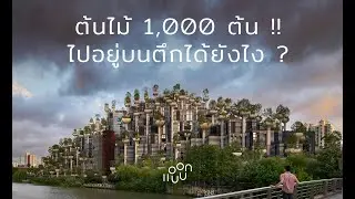 แอบบอก-ออกแบบ EP.45 : ต้นไม้ 1,000 ต้น ! ไปอยู่บนตึกได้ยังไง ?