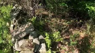Animal Control Fined Me Over the Goats, and Lost The Drone
