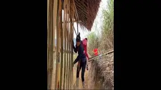 walling #PoorMother #yenhi #singlemom #poorbaby