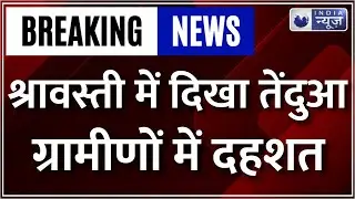 Leopard Terror in Shravasti: श्रावस्ती में तेंदुए की दहशत, वन विभाग कांबिंग में जुटी | India News