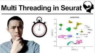 Can I make scRNA-Seq run faster in Seurat?
