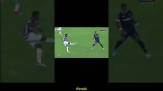 TOP 10 Gols Mais Bonitos do Fluminense