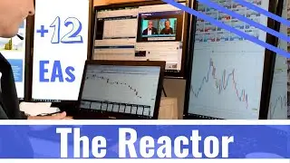 The Reactor in Forex Strategy Course - Portfolio Trading With 12 Expert Advisors