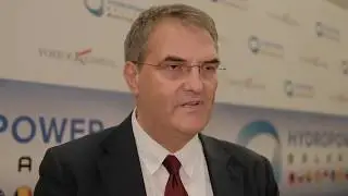 Vesko Djelic, Consultant, CKD Blansko Holding a s