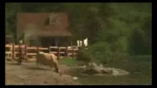 Giant Alligator vs.cow