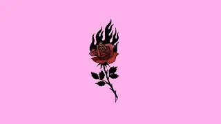 [FREE] Soolking Type Beat - 