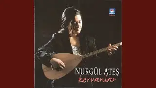 Ayvanda Yarim